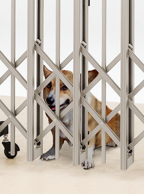 LIXIL　伸縮門扉　伸縮ゲート　外構　モダン　 おしゃれ　エクステリア　愛知・名古屋の外構専門店パートナーホームのエクステリア　製品一覧　アルシャインⅡ　PG型R　Cタイプ　脱走防止　PG型Rは、ジャバラの配列を細かくすることで、すき間からのペット（中型犬以上）の出入りを防ぐタイプです。|パートナーホーム