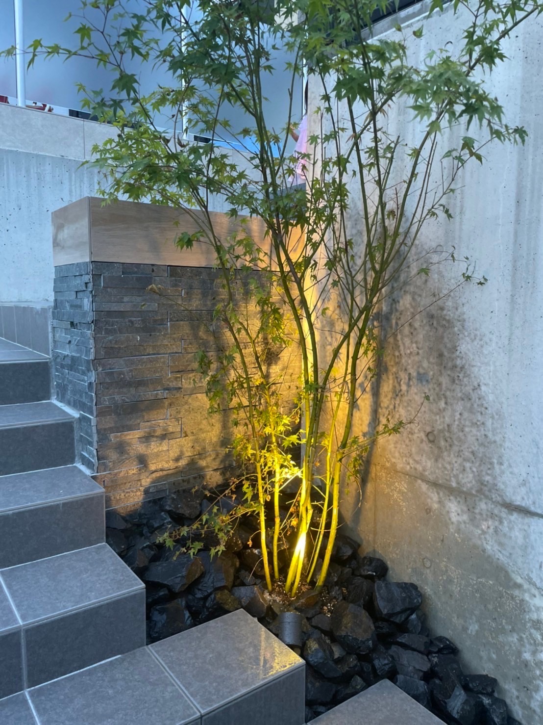 シンボルツリーにイロハモミジを|外構工事　玄関周り　アプローチ　シンボルツリー+照明　ライティング　イロハモミジ|パートナーホーム