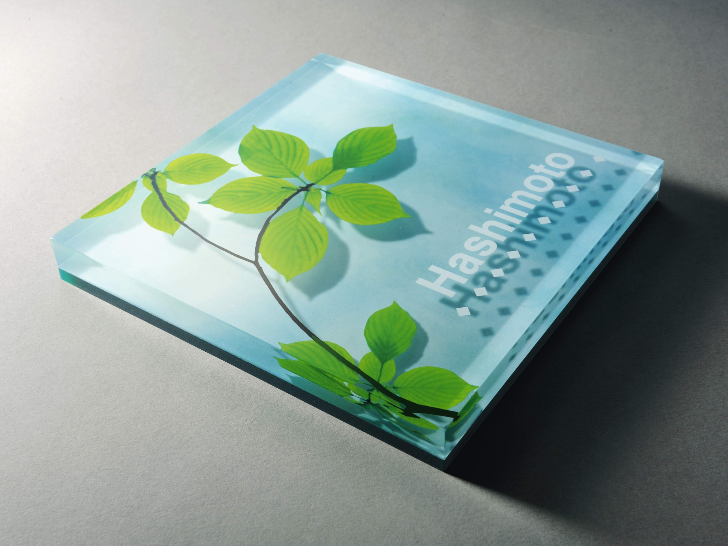 三協アルミ　表札　アクリル【外構エクステリア商品】|サムネイル　三協アルミ　表札　モダン　おしゃれ　エクステリア　愛知・名古屋の外構専門店パートナーホームのエクステリア　製品一覧　アクリル　|パートナーホーム