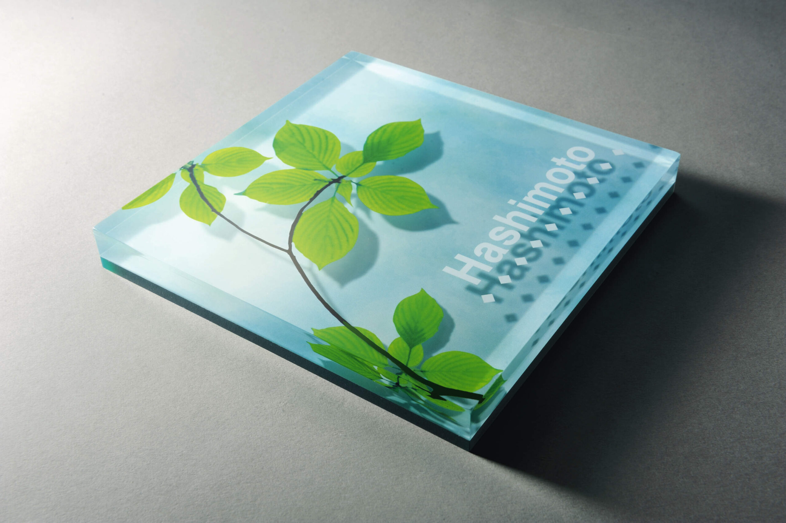 三協アルミ　表札　モダン　おしゃれ　エクステリア　愛知・名古屋の外構専門店パートナーホームのエクステリア　製品一覧　アクリル　|パートナーホーム