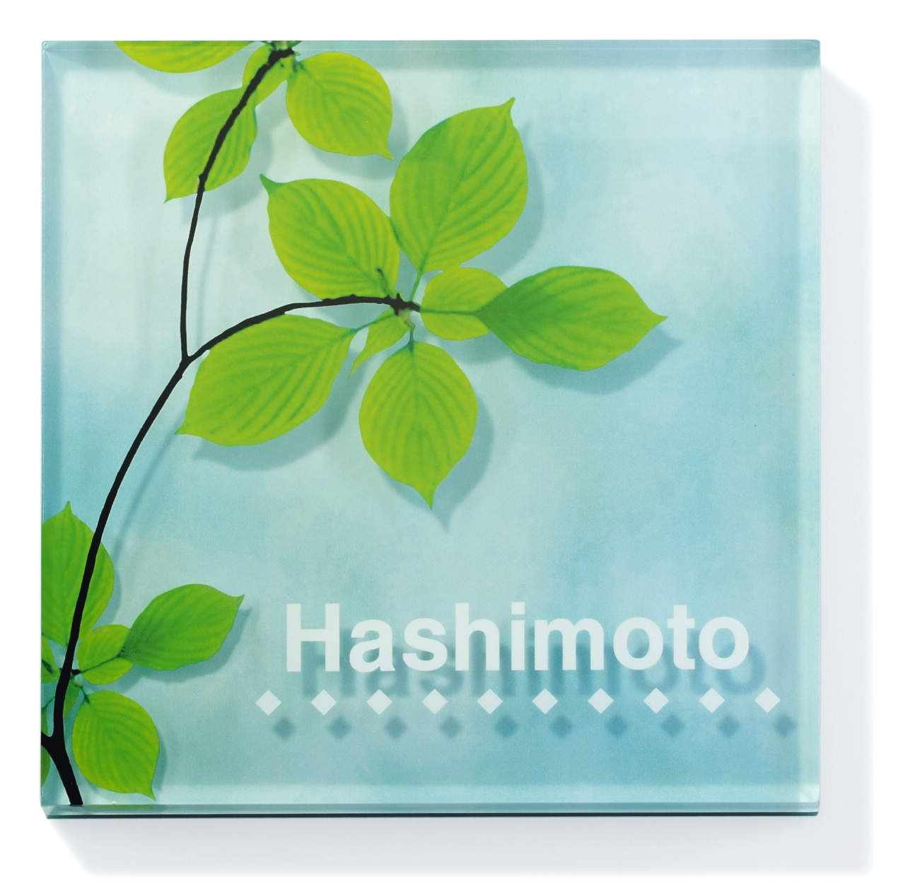 三協アルミ　表札　モダン　おしゃれ　エクステリア　愛知・名古屋の外構専門店パートナーホームのエクステリア　製品一覧　アクリル　AL-1|パートナーホーム